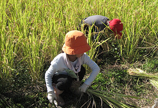 ユネスコスクール