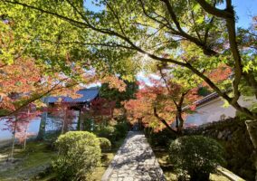 京田辺ぐらしの秋と冬